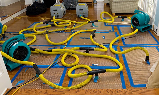 Professional Water Damage Restoration technician working in Cornwallville, NY